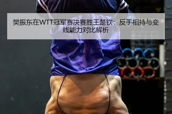 樊振东在WTT冠军赛决赛胜王楚钦：反手相持与变线能力对比解析